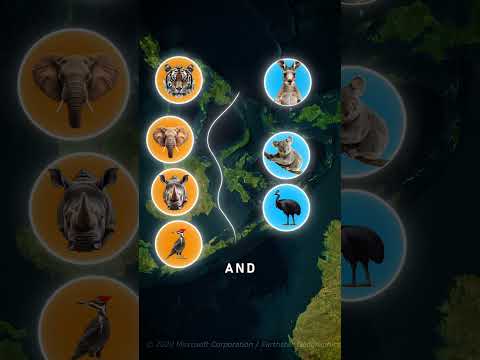 Animals don't cross this line?