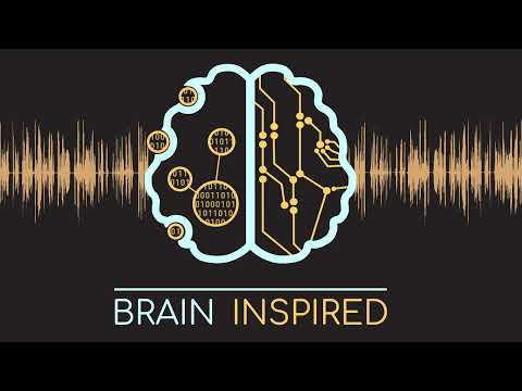 BI 136 Michel Bitbol and Alex Gomez-Marin: Phenomenology