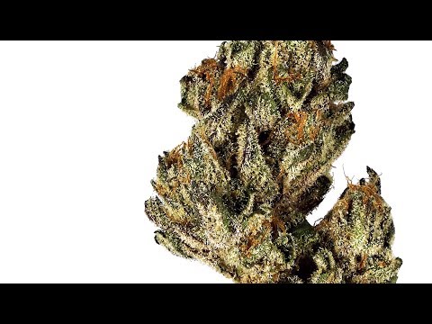 Overflo Strain