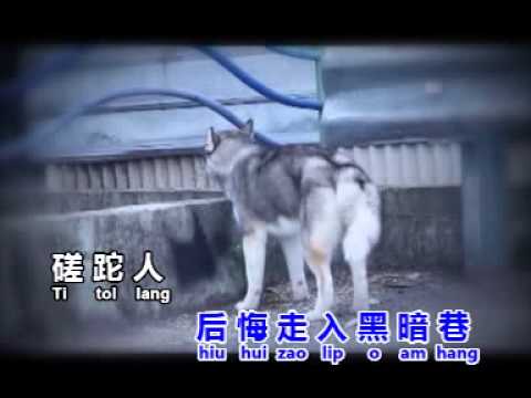 漂泊的七逃郎 - 祐賓
