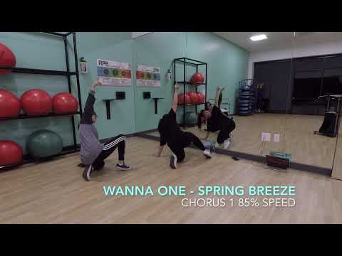 [ECLIPSE] Wanna One (워너원) - Spring Breeze Dance Tutorial | All Choruses