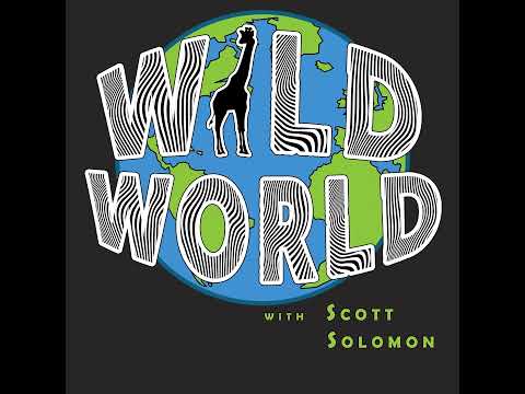 Fossil Hunting in the Canadian Arctic with Neil Shubin