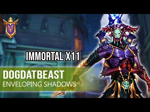 DogDatBeast Vatu Paladins Competitive (Grandmaster) ENVELOPING SHADOWS - Immortal X11