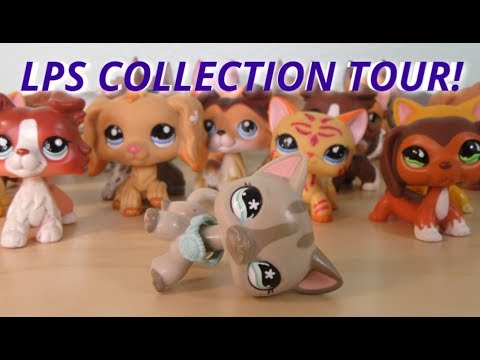 MY LPS COLLECTION TOUR! {50k Special}