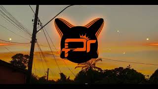 ACRE DANCE, DUORUSH - SILENT (Danilo Project Remix) 2026