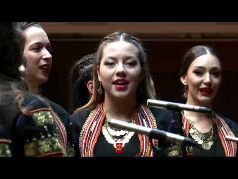 CALE I BEOGRADSKI OMLADINSKI NARODNI ORKESTAR - STOJAN ČUVA, CIGANSKA DUŠA, POLETELA GOLUBICA