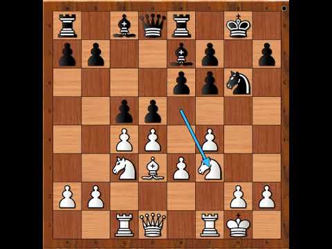 Presudni pobednički potez 😊🎯🤩 WINTER vs SCRIVENDER # 2411