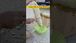 #shorts #short خلية عسل بوطويق من موسم السمر الحمدلله