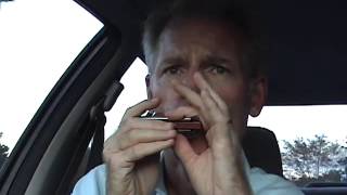 Mr. Cantrell lesson (Gussow)