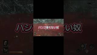 このゲーム近くの敵ロックオンするおもたら変なとこにおる敵ロックオンせん？#鬼武者　#ゲーム実況