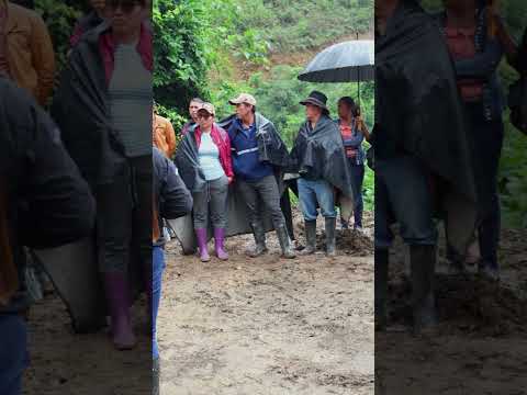 Pisba alza su voz ante la emergencia ocasionada por la ola invernal