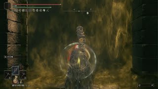 ELDEN RING　宿将ガイウス　近接遺灰縛り
