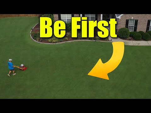 First Spring Lawn Fertilizer - Jump Start Lawn