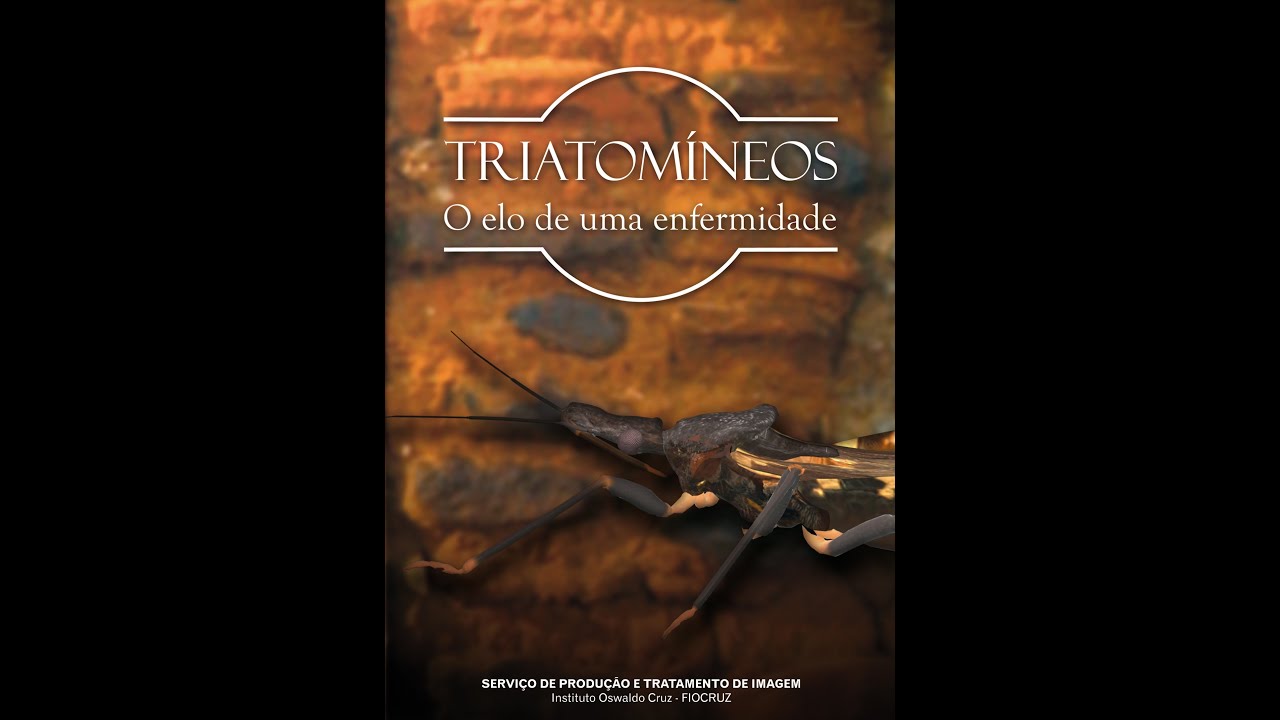Triatomíneos - O Elo de uma Enfermidade