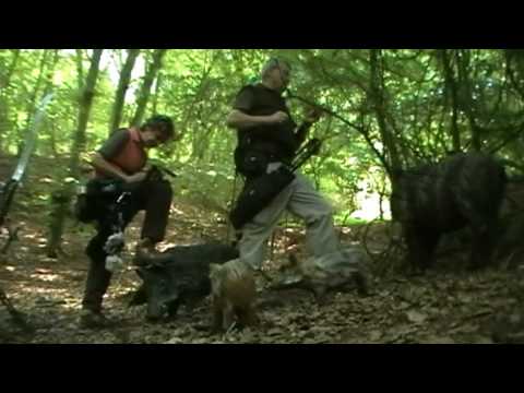 Pfingstturnier in Ürzig - 3D Parcour - German Field Archery Tournament - Bogenschießen
