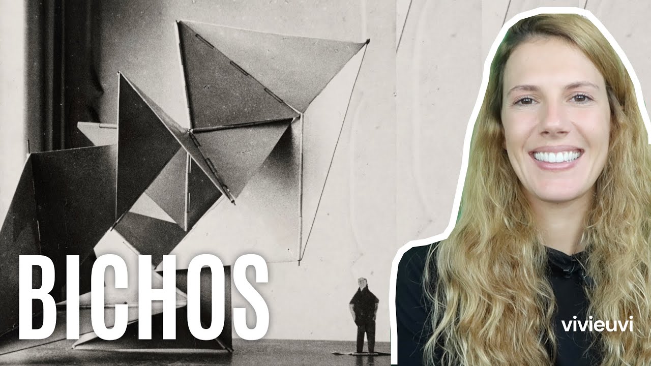 Os Bichos de Lygia Clark #VIVIEUVI