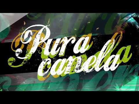 EPD - PURA CANELA