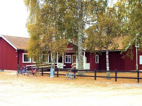 Biblisk allmänbildning - Amandas hus