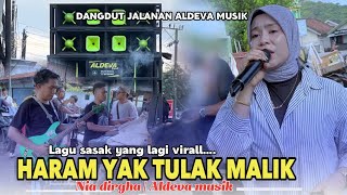 Download lagu HARAM YAK TULAK MALIK NIA DIRGHA FT ALDEVA MUSIK mp3