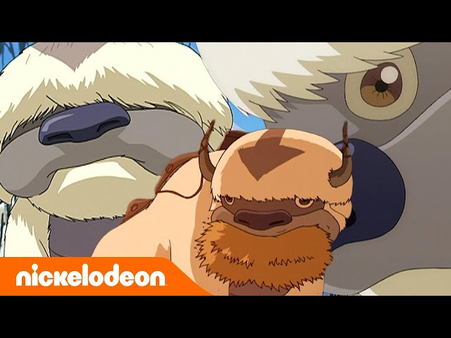 Vídeo relacionado con Mujer Avatar: The Last Airbender Northern Air Temple Flying Bison Camiseta Cuello V