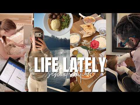 ein Blick in mein Schulleben👩🏼‍❤️‍💋‍👩🏽🥘 room makeover, beim Piercer, Freunde treffen | Jana Libra