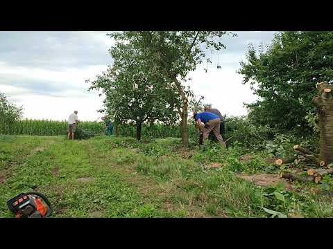 solo 6651 es gama garden gcs 52 akcióban a meggyesben.🤣😂