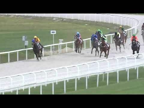 2021.06.13. 02. futam - TATAI DÍJ (IV.kat.) (szintetikus pálya)