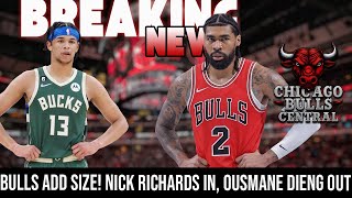 BREAKING NEWS: Bulls Add Size! Nick Richards In, Ousmane Dieng Out