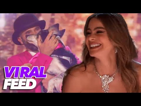 המופע של הוריקן - כלבה מוכשרת עם עתיד כשחקנית וגם כבמאית!