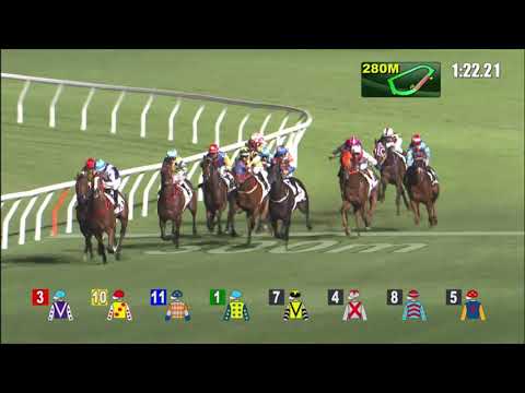 10/11/2021 (160) Ever Laugh- L Ferraris