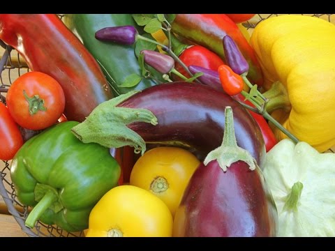 These Foods Actually Have Nicotine In Them!