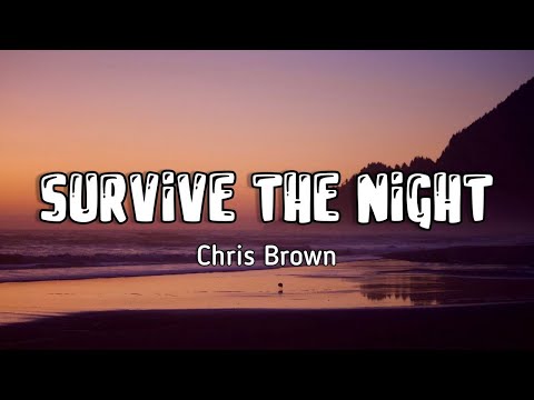 Chris Brown - Survive The Night (lyric video)