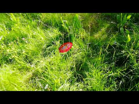 Näin täälä heitellään frisbeetä 2019