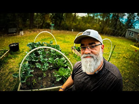 Everything you need to water your garden efficiently