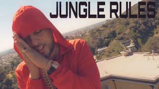 French Montana - Too Much (Jungle Rules)