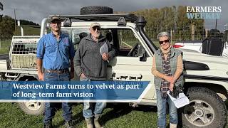 Westview Farms turns to velvet as part of its long-term farm vision