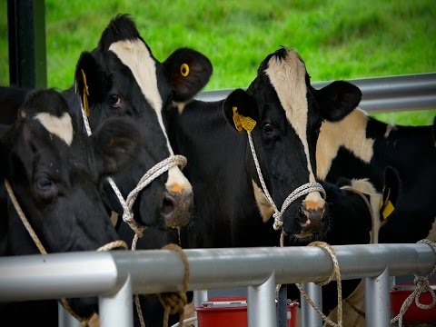 Acquistare patogeno femminile in gocce a Mosca con la consegna I prezzi per i farmaci di potenza