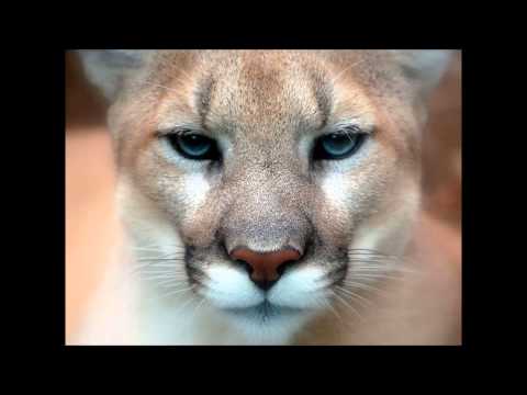 Moonbeam feat. Sopheary - My Heart's Confession (Going Deeper Remix)