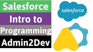 Introduction to Programming | Live Salesforce Development