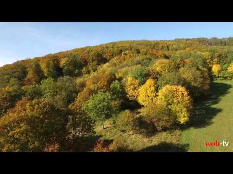 Indian Summer around Vienna