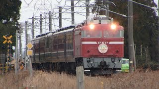 列車番号????　快速EL村上ひな街道号#2　(EF81-97)  羽越本線　60P　19/03/23