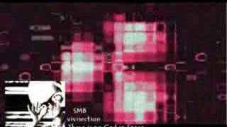 Screaming Mechanical Brain Song- Vivisection