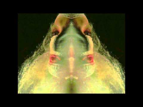 Nonnen Unter Sonne - Petra Flurr