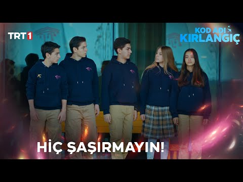 Kırlangıçların dağıldığı anlamına mı geliyor? - Kod Adı Kırlangıç 69.Bölüm