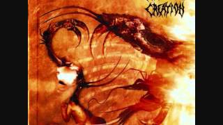 Malevolent Creation - Perish In Flames - Envenomed II 2002