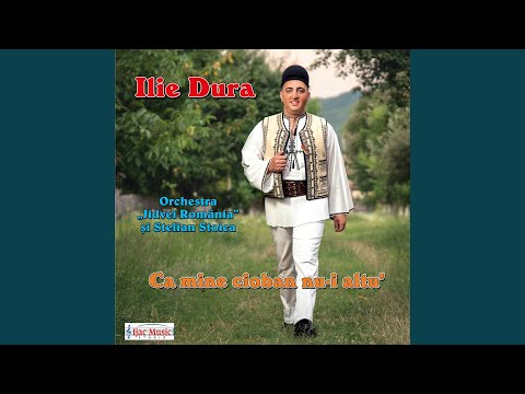 Bat-o ploaia pe mandra