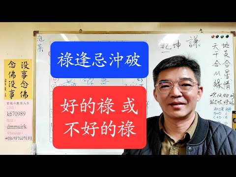林子秦收費