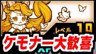 【にゃんこ大戦争】なぜか当たった創造神ガイア！属性を持つ敵に極ダメージだと！？なんだか強そうだが果たして…？【本垢実況Re#2507】