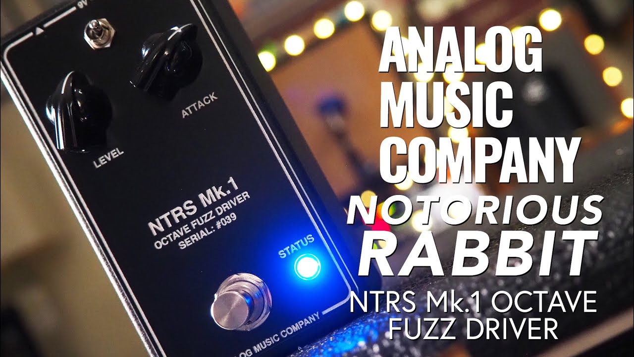 NOTORIOUS RABBIT DEMO BY PEDAL OF THE DAY thumbnail