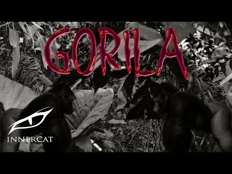 Young Eiby - Gorila (Cover Video)